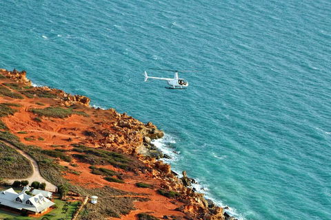 Half-Day Willie Creek Pearl Farm Tour With Helicopter Flight - Lightning Ridge Tourism 4