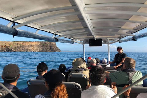 Julian Rocks Byron Bay Cruise - Lightning Ridge Tourism 4