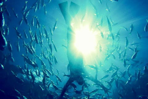 2-Day Whitsundays Sailing Adventure: SV Whitehaven - Lightning Ridge Tourism 1