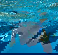 3 Day Whitsundays Sailing and Diving Adventure Kiana - Lightning Ridge Tourism