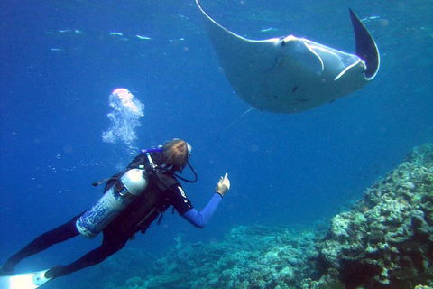 3 Day Whitsundays Sailing And Diving Adventure: Kiana - Lightning Ridge Tourism 3