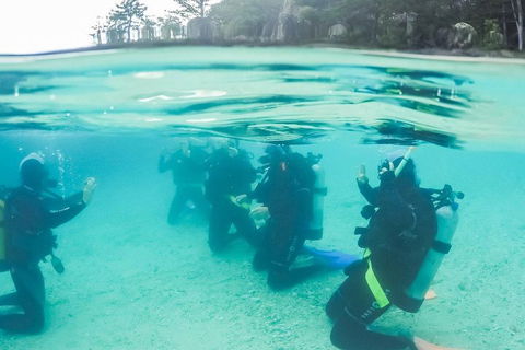 3 Day Whitsundays Sailing And Diving Adventure: Kiana - Lightning Ridge Tourism 4