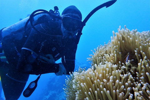 3 Day Whitsundays Sailing And Diving Adventure: Kiana - Lightning Ridge Tourism 5