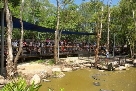 Hartley's Crocodile Adventures Breakfast With The Koalas - Lightning Ridge Tourism 1