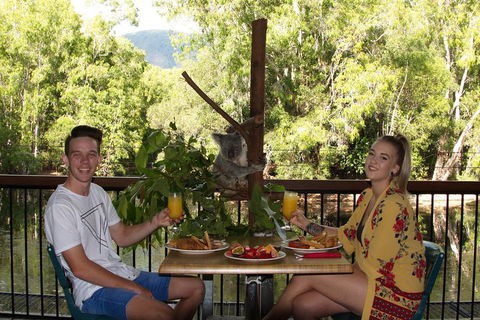 Hartley's Crocodile Adventures Breakfast With The Koalas - Lightning Ridge Tourism 5
