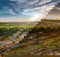 Perth to Margaret River Wine Tour - 2 Day Premium Boutique Wine Tour Experience - Lightning Ridge Tourism