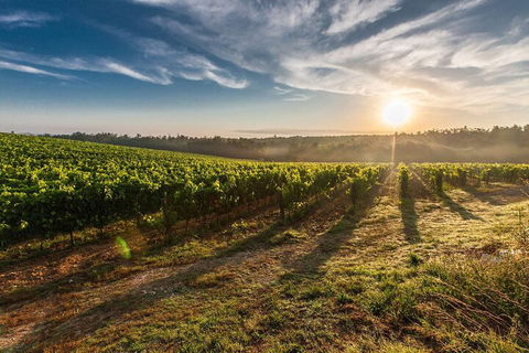 Perth To Margaret River Wine Tour - 2 Day Premium Boutique Wine Tour Experience - Lightning Ridge Tourism 0