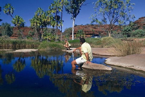 Palm Valley 4WD Day Tour - Lightning Ridge Tourism 1