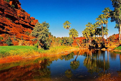 Palm Valley 4WD Day Tour - Lightning Ridge Tourism 2