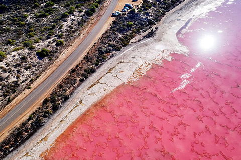 7-Day Exmouth Explorer Via Pinnacles Monkey Mia Ningaloo Reef Returning To Perth - Lightning Ridge Tourism 0