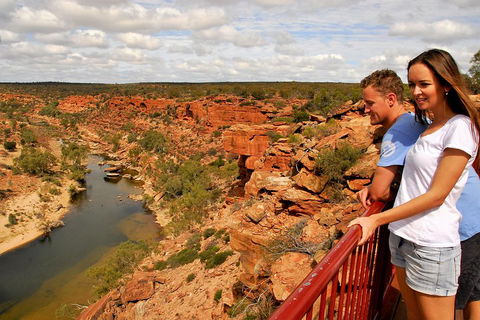 4-Day Coastal Loop Via Monkey Mia Wild Dolphins Kalbarri Pinnacles Perth Return - Lightning Ridge Tourism 3