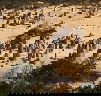 Pinnacles Sunset Dinner and Stargazing Experience a Small Group Tour - Lightning Ridge Tourism