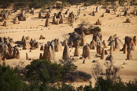 Pinnacles Sunset Dinner And Stargazing Experience A Small Group Tour - Lightning Ridge Tourism 0