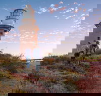 6-Day Coral Coaster from Perth to Exmouth One-Way via Monkey Mia Ningaloo Reef - Lightning Ridge Tourism