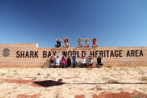 6-Day Coral Coaster From Perth To Exmouth One-Way Via Monkey Mia Ningaloo Reef - Lightning Ridge Tourism 4