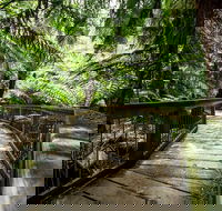 12 Apostles Eco-Friendly Great Ocean Road Iconic Adventure from Melbourne - Lightning Ridge Tourism