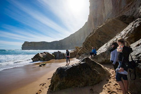 12 Apostles Eco-Friendly Great Ocean Road Iconic Adventure From Melbourne - Lightning Ridge Tourism 2