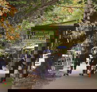 Adelaide Highlights Hahndorf  McLaren Vale Wine Tasting and Sightseeing Tour - Lightning Ridge Tourism