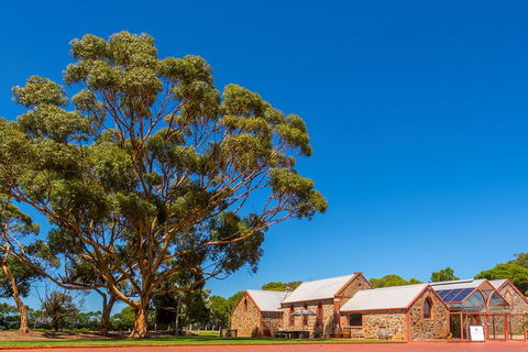 McLaren Vale And Glenelg Wine Tasting And Sightseeing (Half-day Afternoon) - Lightning Ridge Tourism 5