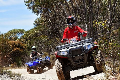 Kangaroo Island Quad Bike (ATV) Tours - Lightning Ridge Tourism 5