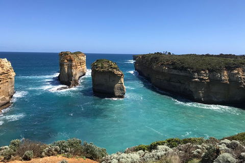 Great Ocean Road Reverse Itinerary PREMIUM Tour - Lightning Ridge Tourism 0