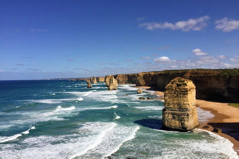 Great Ocean Road Reverse Itinerary PREMIUM Tour - Lightning Ridge Tourism 2