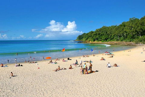 Noosa Everglades Serenity Cruise & Highlights Tour Inc. Lunch & Cruise - Lightning Ridge Tourism 4