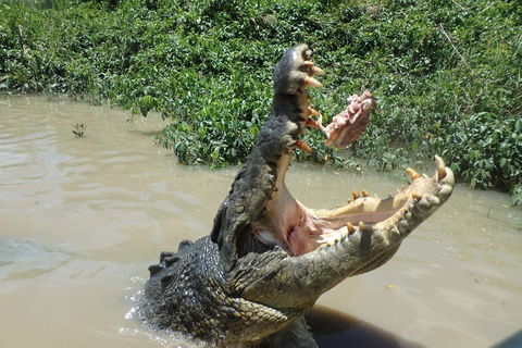 Litchfield And Jumping Crocodiles Full Day Trip From Darwin - Lightning Ridge Tourism 3