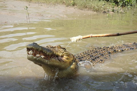Litchfield And Jumping Crocodiles Full Day Trip From Darwin - Lightning Ridge Tourism 4