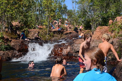 Litchfield And Jumping Crocodiles Full Day Trip From Darwin - Lightning Ridge Tourism 5