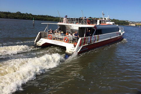 PRIVATE All-Day Blue Mountains Tour With Professional Guide For Up To 4 People - Lightning Ridge Tourism 0