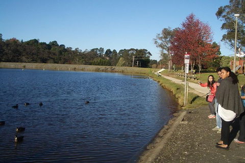 PRIVATE All-Day Blue Mountains Tour With Professional Guide For Up To 4 People - Lightning Ridge Tourism 2