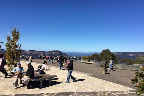 PRIVATE All-Day Blue Mountains Tour With Professional Guide For Up To 4 People - Lightning Ridge Tourism 5