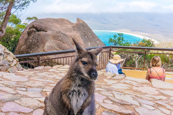  Lightning Ridge Tourism