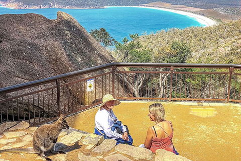 Wineglass Bay & Freycinet NP Full Day Tour From Hobart Via Richmond Village - Lightning Ridge Tourism 1