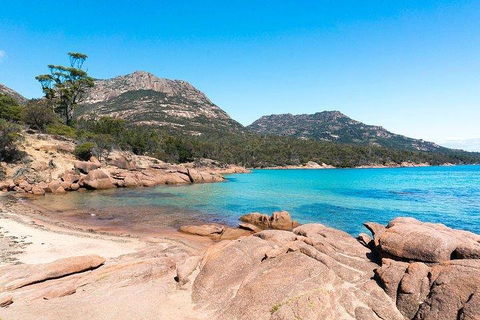 Wineglass Bay & Freycinet NP Full Day Tour From Hobart Via Richmond Village - Lightning Ridge Tourism 5