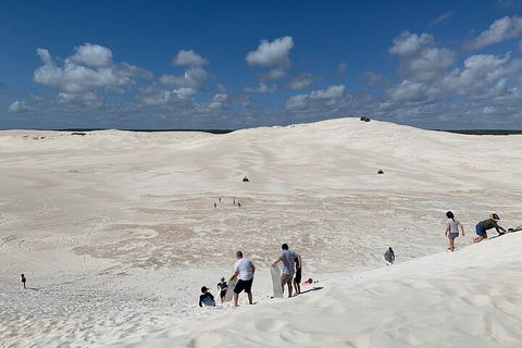 Pinnacles Day Trip From Perth Including Yanchep National Park - Lightning Ridge Tourism 2