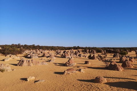 Pinnacles Day Trip From Perth Including Yanchep National Park - Lightning Ridge Tourism 3