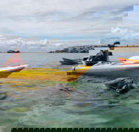 Seal Island and Penguin Island or Point Peron Sea Kayak Tour - Lightning Ridge Tourism