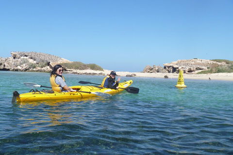 Seal Island And Penguin Island Or Point Peron Sea Kayak Tour - Lightning Ridge Tourism 3