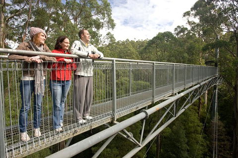 Adventure Sunset Three Day Great Ocean Road Tour - Lightning Ridge Tourism 0