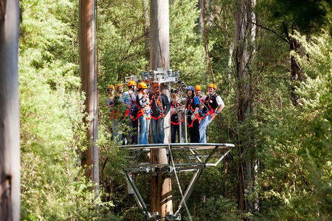 Adventure Sunset Three Day Great Ocean Road Tour - Lightning Ridge Tourism 1