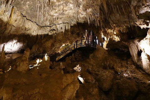Ngilgi Cave Semi-guided Tour - Lightning Ridge Tourism 2