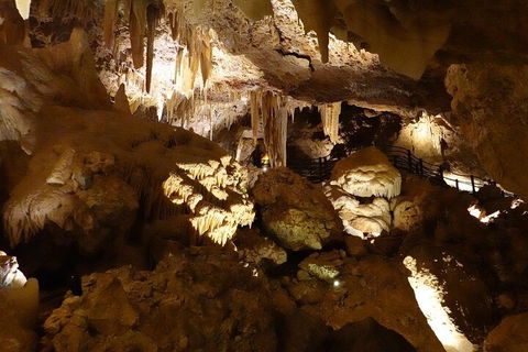 Ngilgi Cave Semi-guided Tour - Lightning Ridge Tourism 3
