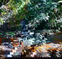 Aquaduck  Your choice of Gold Coast Rainforest Tour - Lightning Ridge Tourism