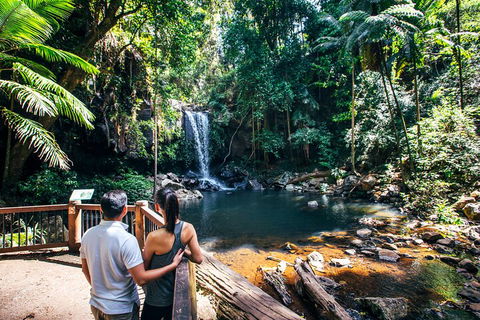 Aquaduck & Your Choice Of Gold Coast Rainforest Tour - Lightning Ridge Tourism 0
