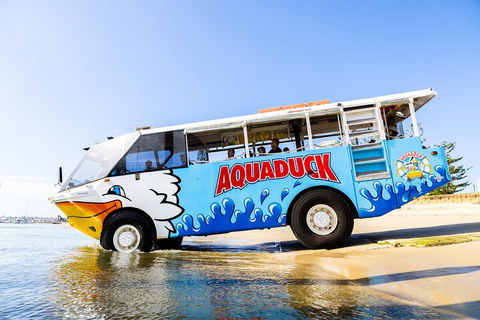Aquaduck & Your Choice Of Gold Coast Rainforest Tour - Lightning Ridge Tourism 3