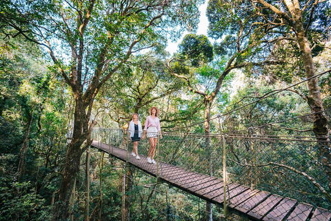 Aquaduck & Your Choice Of Gold Coast Rainforest Tour - Lightning Ridge Tourism 4