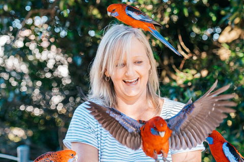 Aquaduck & Your Choice Of Gold Coast Rainforest Tour - Lightning Ridge Tourism 5
