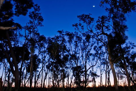Small-Group Kangaroo Island 4WD Night Tour - Lightning Ridge Tourism 2